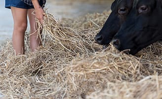 オリジナル配合の飼料